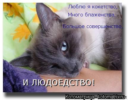 Люблю я кокетство, Много блаженства, Большое совершенство, И ЛЮДОЕДСТВО!... Котоматрица: Люблю я кокетство, Много блаженства, Большое совершенство, И ЛЮДОЕДСТВО!