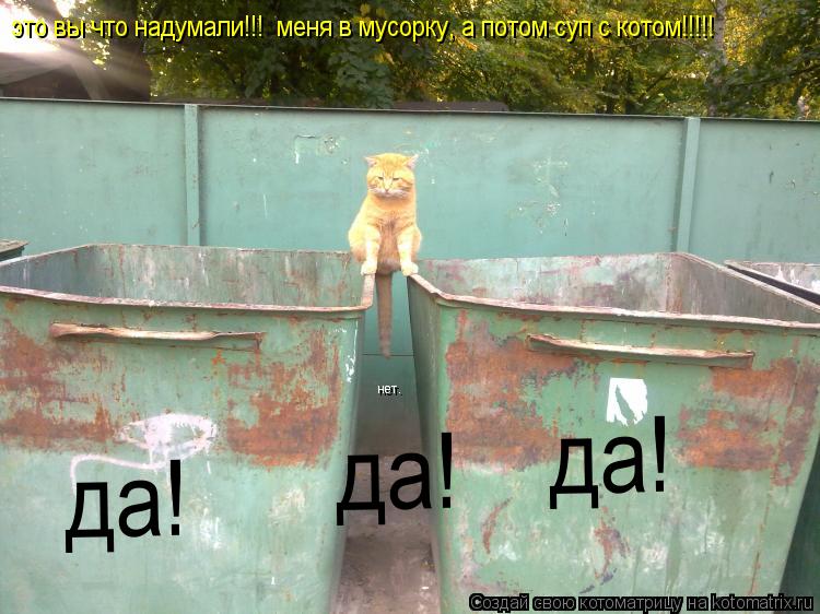 это вы что надумали!!! меня в мусорку, а потом суп с котом!!!!! да! да! да! нет.... Котоматрица: это вы что надумали!!! меня в мусорку, а потом суп с котом!!!!! да! да! да! нет.