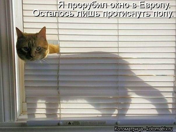 Я прорубил окно в Европу. Осталось лишь протиснуть попу.... Котоматрица: Я прорубил окно в Европу. Осталось лишь протиснуть попу.