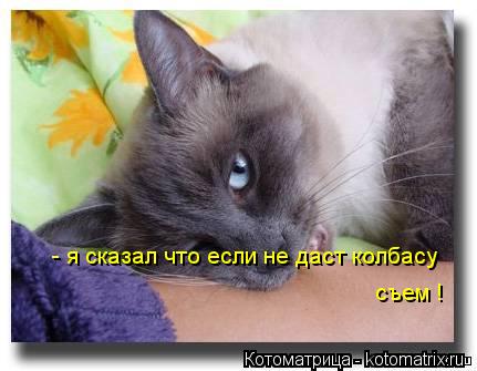 - я сказал что если не даст колбасу съем !... Котоматрица: - я сказал что если не даст колбасу съем !