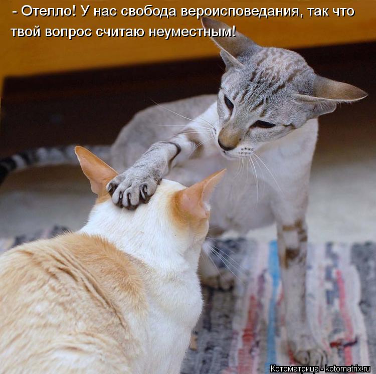 - Отелло! У нас свобода вероисповедания, так что твой вопрос считаю неуместным!... Котоматрица: - Отелло! У нас свобода вероисповедания, так что твой вопрос считаю неуместным!