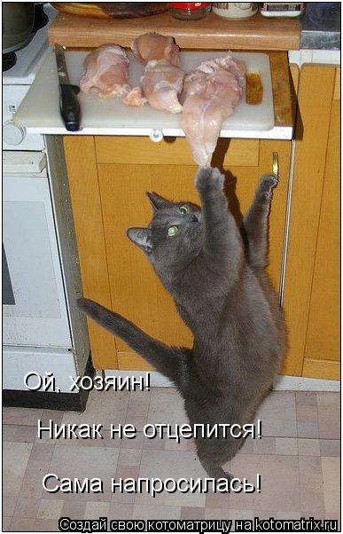 Ой, хозяин! Никак не отцепится! Сама напросилась!... Котоматрица: Ой, хозяин! Никак не отцепится! Сама напросилась!