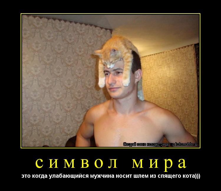 символ мира это когда улабающийся мужчина носит шлем из спящего кота)))... Котоматрица: символ мира это когда улабающийся мужчина носит шлем из спящего кота)))