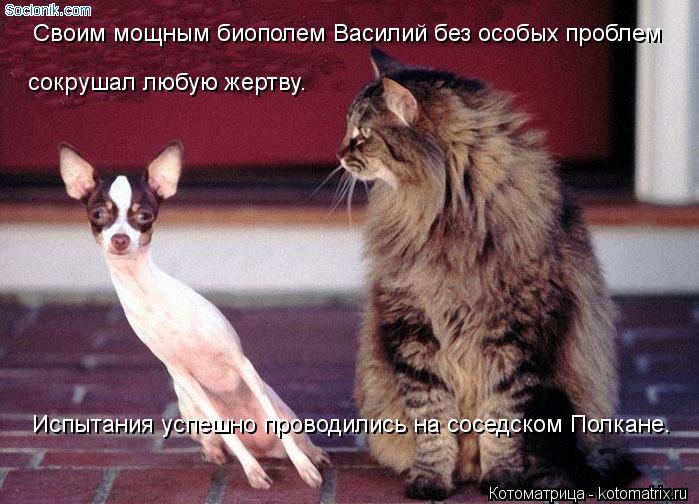 Своим мощным биополем Василий без особых проблем сокрушал любую жертву. Испытания успешно проводилис... Котоматрица: Своим мощным биополем Василий без особых проблем сокрушал любую жертву. Испытания успешно проводились на соседском Полкане.