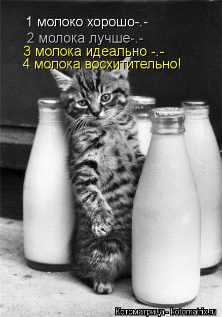 1 молоко хорошо-.- 2 молока лучше-.- 3 молока идеально -.- 4 молока восхитительно!... Котоматрица: 1 молоко хорошо-.- 2 молока лучше-.- 3 молока идеально -.- 4 молока восхитительно!