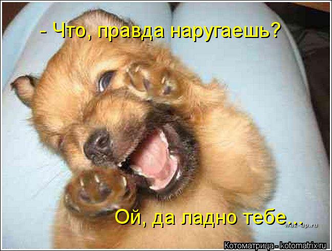 - Что, правда наругаешь? Ой, да ладно тебе...... Котоматрица: - Что, правда наругаешь? Ой, да ладно тебе...