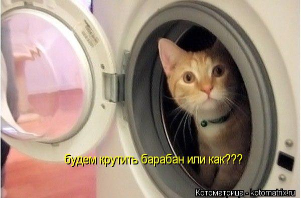 будем крутить барабан или как???... Котоматрица: будем крутить барабан или как???