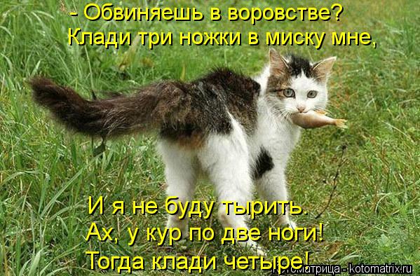 - Обвиняешь в воровстве? Клади три ножки в миску мне, Ах, у кур по две ноги! И я не буду тырить. Т... Котоматрица: - Обвиняешь в воровстве? Клади три ножки в миску мне, Ах, у кур по две ноги! И я не буду тырить. Тогда клади четыре!
