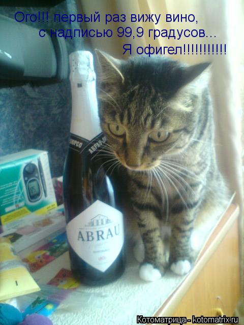 Ого!!! первый раз вижу вино, с надписью 99,9 градусов... Я офигел!!!!!!!!!!!... Котоматрица: Ого!!! первый раз вижу вино, с надписью 99,9 градусов... Я офигел!!!!!!!!!!!