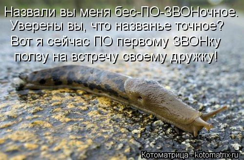Назвали вы меня бес-ПО-ЗВОНочное. Уверены вы, что названье точное? Вот я сейчас ПО первому ЗВОНку ... Котоматрица: Назвали вы меня бес-ПО-ЗВОНочное. Уверены вы, что названье точное? Вот я сейчас ПО первому ЗВОНку ползу на встречу своему дружку!