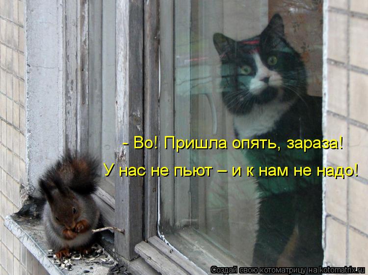 - Во! Пришла опять, зараза! У нас не пьют – и к нам не надо!... Котоматрица: - Во! Пришла опять, зараза! У нас не пьют – и к нам не надо!