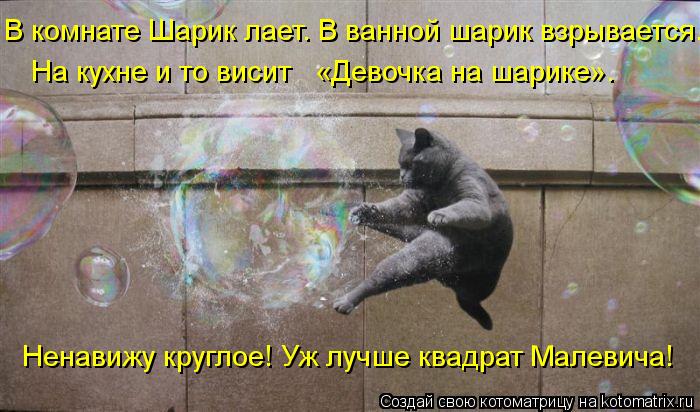 В комнате Шарик лает. В ванной шарик взрывается. На кухне и то висит «Девочка на шарике». Ненавижу... Котоматрица: В комнате Шарик лает. В ванной шарик взрывается. На кухне и то висит «Девочка на шарике». Ненавижу круглое! Уж лучше квадрат Малевича!