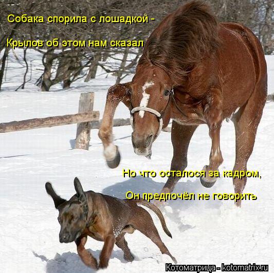 Собака спорила с лошадкой - Крылов об этом нам сказал Но что осталося за кадром, Он предпочёл не гово... Котоматрица: Собака спорила с лошадкой - Крылов об этом нам сказал Но что осталося за кадром, Он предпочёл не говорить