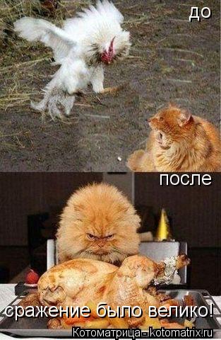 до после сражение было велико!... Котоматрица: до после сражение было велико!