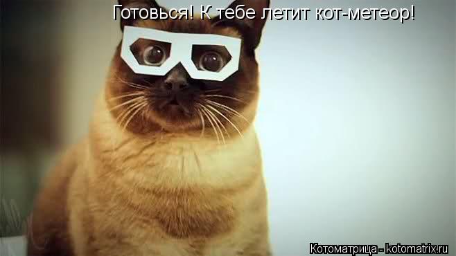 Готовься! К тебе летит кот-метеор!... Котоматрица: Готовься! К тебе летит кот-метеор!