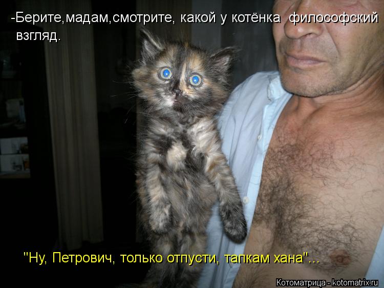 -Берите,мадам,смотрите, какой у котёнка философский -Берите,мадам,смотрите, какой у котёнка философ... Котоматрица: -Берите,мадам,смотрите, какой у котёнка философский -Берите,мадам,смотрите, какой у котёнка философский взгляд. "Ну, Петрович, только отпус