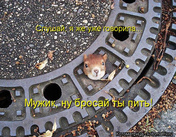 Слушай, я же уже говорила... Мужик, ну бросай ты пить!... Котоматрица: Слушай, я же уже говорила... Мужик, ну бросай ты пить!