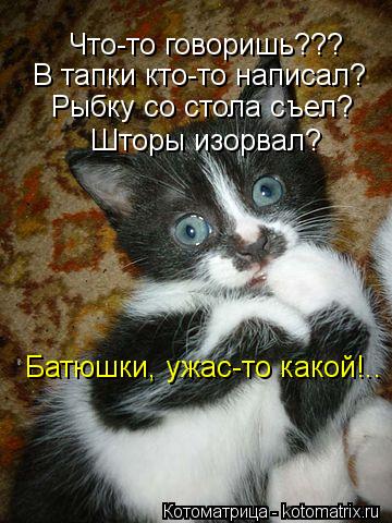 Котоматрица: Что-то говоришь??? В тапки кто-то написал? Рыбку со стола съел? Шторы изорвал? Батюшки, ужас-то какой!..
