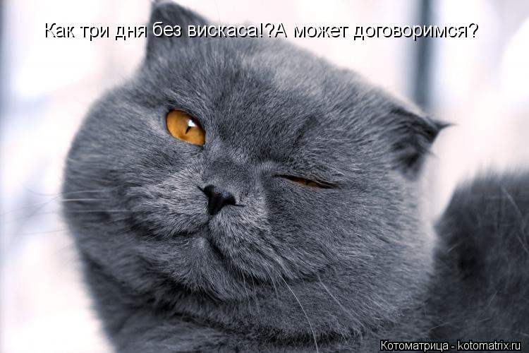 Как три дня без вискаса!?А может договоримся?... Котоматрица: Как три дня без вискаса!?А может договоримся?