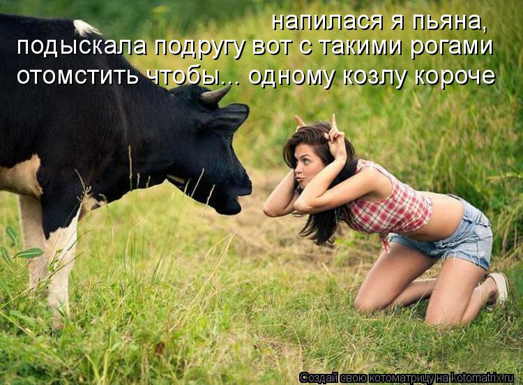 Котоматрица: напилася я пьяна,  подыскала подругу вот с такими рогами отомстить чтобы... одному козлу короче