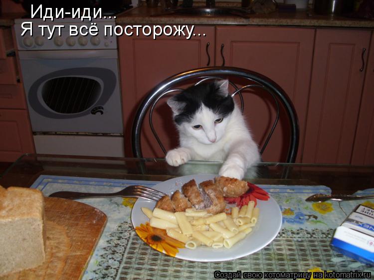 Иди-иди... Я тут всё посторожу...... Котоматрица: Иди-иди... Я тут всё посторожу...