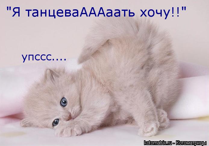 "Я танцеваАААаать хочу!!" упссс....... Котоматрица: "Я танцеваАААаать хочу!!" упссс....