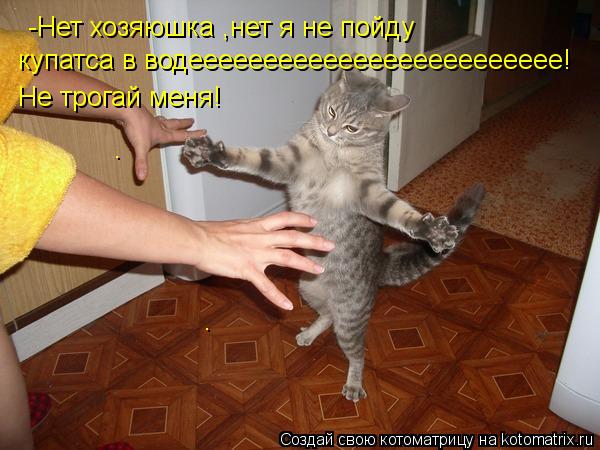 купатса в водеееееееееееееееееееееееее! Не трогай меня! -Нет хозяюшка ,нет я не пойду . .... Котоматрица: купатса в водеееееееееееееееееееееееее! Не трогай меня! -Нет хозяюшка ,нет я не пойду . .