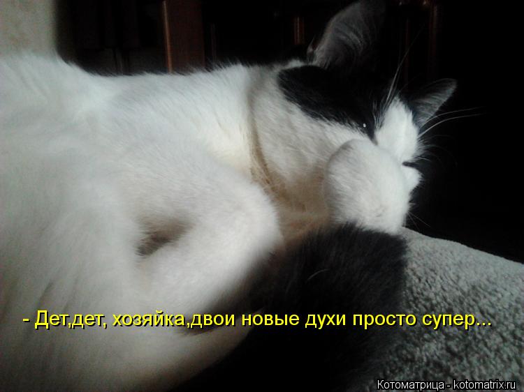 - Дет,дет, хозяйка,двои новые духи просто супер...... Котоматрица: - Дет,дет, хозяйка,двои новые духи просто супер...
