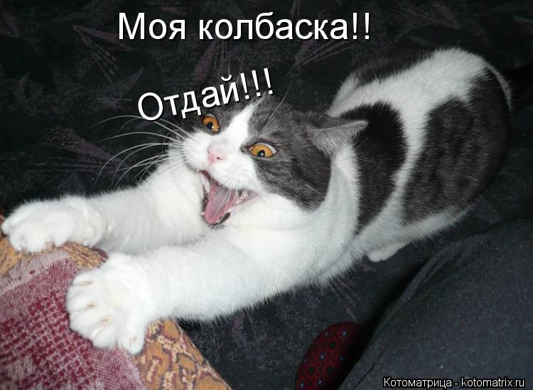 Котоматрица: Моя колбаска!! Отдай!!! Отдай!!!