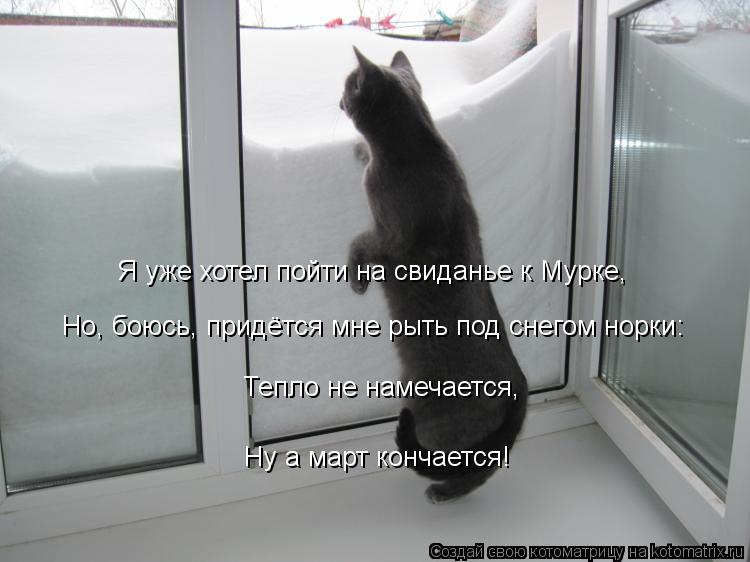 Я уже хотел пойти на свиданье к Мурке, Но, боюсь, придётся мне рыть под снегом норки: Тепло не намеча... Котоматрица: Я уже хотел пойти на свиданье к Мурке, Но, боюсь, придётся мне рыть под снегом норки: Тепло не намечается, Ну а март кончается!