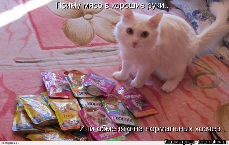 Приму мясо в хорошие руки... Или обменяю на нормальных хозяев...... Котоматрица: Приму мясо в хорошие руки... Или обменяю на нормальных хозяев...