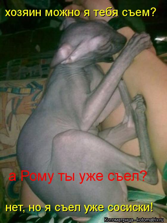 хозяин можно я тебя съем? а Рому ты уже съел? нет, но я съел уже сосиски!... Котоматрица: хозяин можно я тебя съем? а Рому ты уже съел? нет, но я съел уже сосиски!