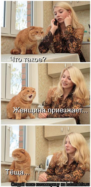 Что такое? Женщина приезжает... Тёща...... Котоматрица: Что такое? Женщина приезжает... Тёща...
