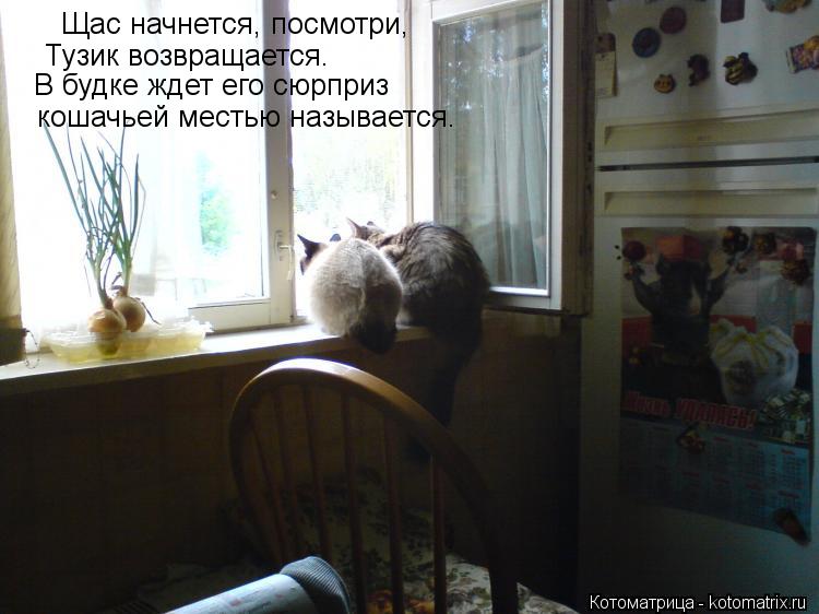 Щас начнется, посмотри, Тузик возвращается. В будке ждет его сюрприз кошачьей местью называется.... Котоматрица: Щас начнется, посмотри, Тузик возвращается. В будке ждет его сюрприз кошачьей местью называется.