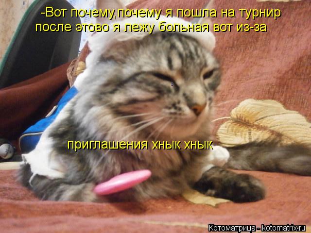 -Вот почему,почему я пошла на турнир после этово я лежу больная вот из-за приглашения хнык хнык . .... Котоматрица: -Вот почему,почему я пошла на турнир после этово я лежу больная вот из-за приглашения хнык хнык . .