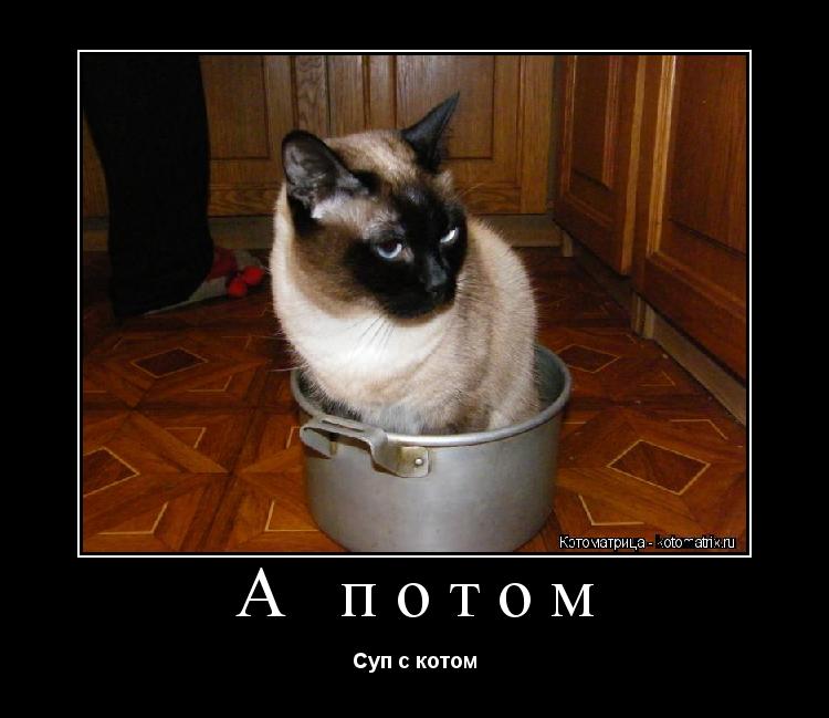 А потом Суп с котом... Котоматрица: А потом Суп с котом