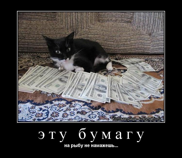 эту бумагу на рыбу не намажешь...... Котоматрица: эту бумагу на рыбу не намажешь...