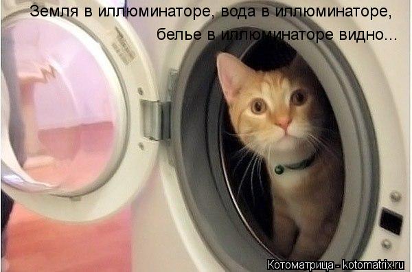 Земля в иллюминаторе, вода в иллюминаторе, белье в иллюминаторе видно...... Котоматрица: Земля в иллюминаторе, вода в иллюминаторе, белье в иллюминаторе видно...