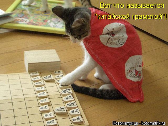 Вот что называется "китайской грамотой"!... Котоматрица: Вот что называется "китайской грамотой"!