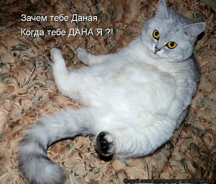 Зачем тебе Даная, Когда тебе ДАНА Я ?!... Котоматрица: Зачем тебе Даная, Когда тебе ДАНА Я ?!