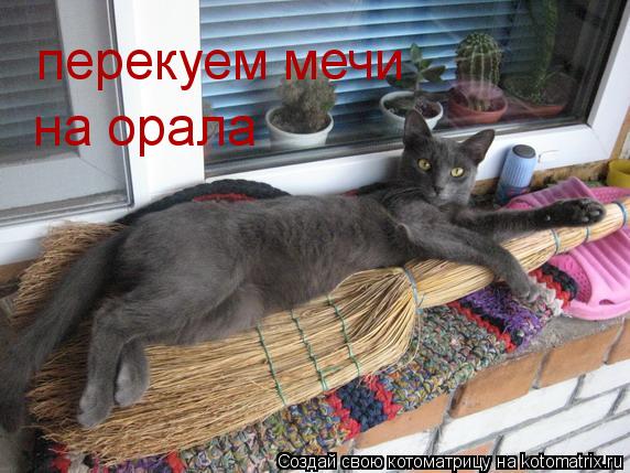 перекуем мечи на орала... Котоматрица: перекуем мечи на орала