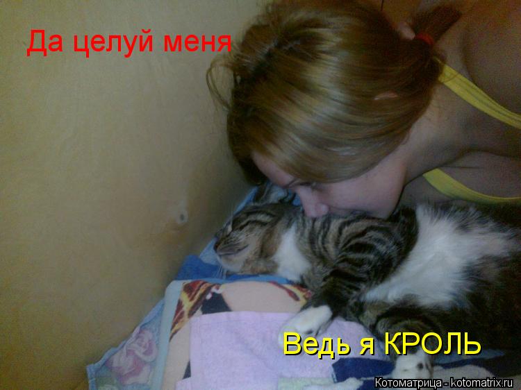 Котоматрица: Да целуй меня Ведь я КРОЛЬ