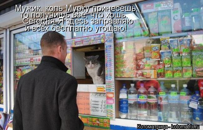 Мужик, коль Мурку принесешь, то получишь всё, что хошь. Сегодня Я здесь заправляю и всех бесплатно уг... Котоматрица: Мужик, коль Мурку принесешь, то получишь всё, что хошь. Сегодня Я здесь заправляю и всех бесплатно угощаю!