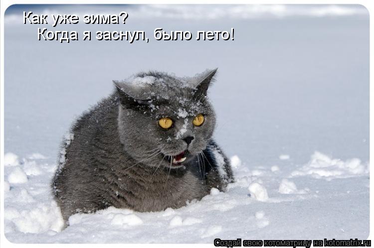 Как уже зима? Когда я заснул, было лето!... Котоматрица: Как уже зима? Когда я заснул, было лето!