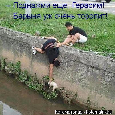 Барыня уж очень торопит! -- Поднажми еще, Герасим!... Котоматрица: Барыня уж очень торопит! -- Поднажми еще, Герасим!