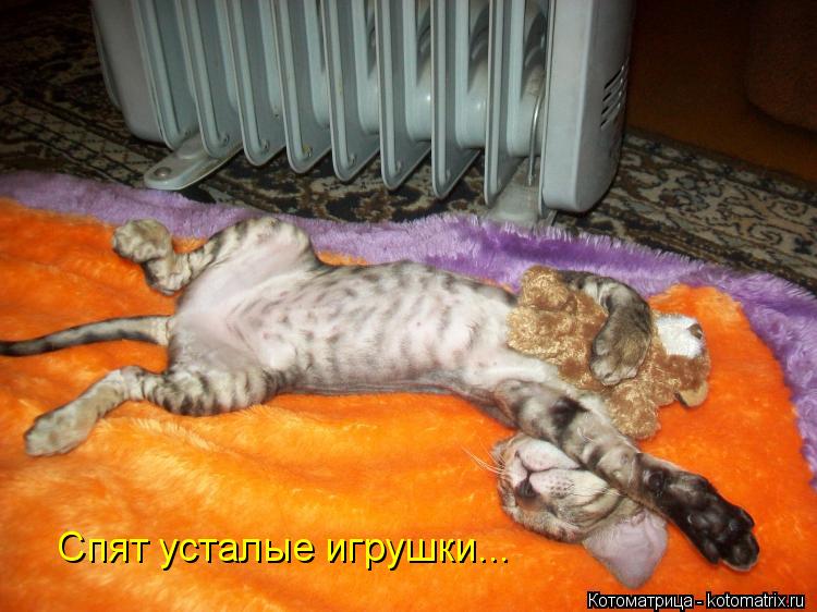 Спят усталые игрушки...... Котоматрица: Спят усталые игрушки...