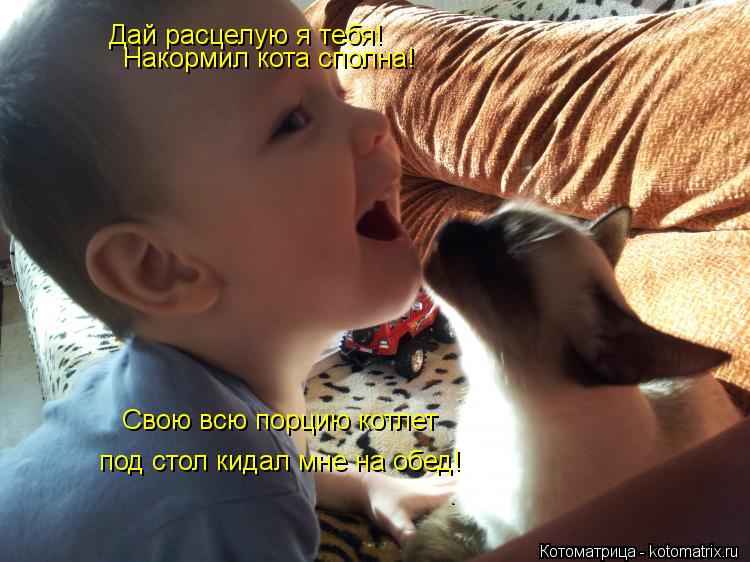 Котоматрица: Дай расцелую я тебя! Накормил кота сполна! Свою всю порцию котлет под стол кидал мне на обед!