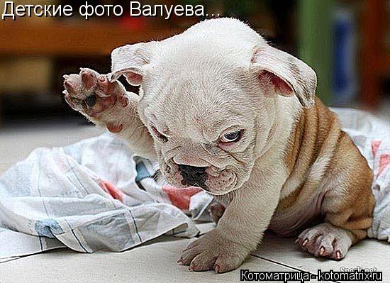Детские фото Валуева...... Котоматрица: Детские фото Валуева...