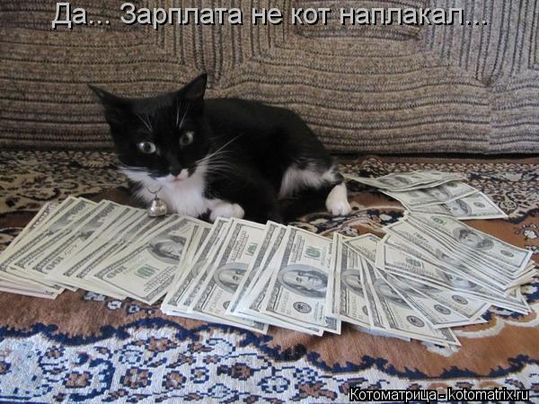 Да... Зарплата не кот наплакал...... Котоматрица: Да... Зарплата не кот наплакал...