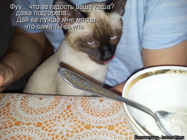 Фуу... что за гадость ваша каша? даже подгорела. Дай ка лучше мне мясца что сама ты съела.... Котоматрица: Фуу... что за гадость ваша каша? даже подгорела. Дай ка лучше мне мясца что сама ты съела.